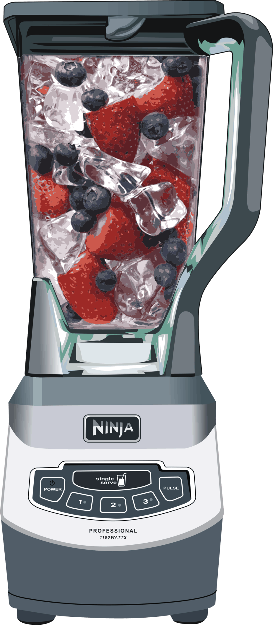 Ninja Blender 4