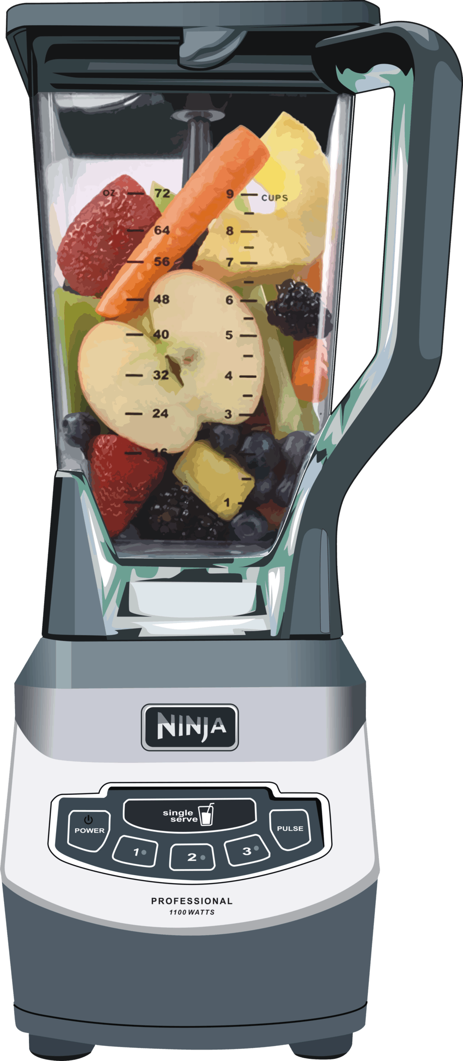Ninja Blender 5